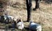 Equestrian Community North Carolina