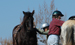 Equestrian Community North Carolina
