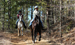 Use of Horse trails in North Carolina