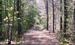 Horse Trails in Equestrian Community North Carolina